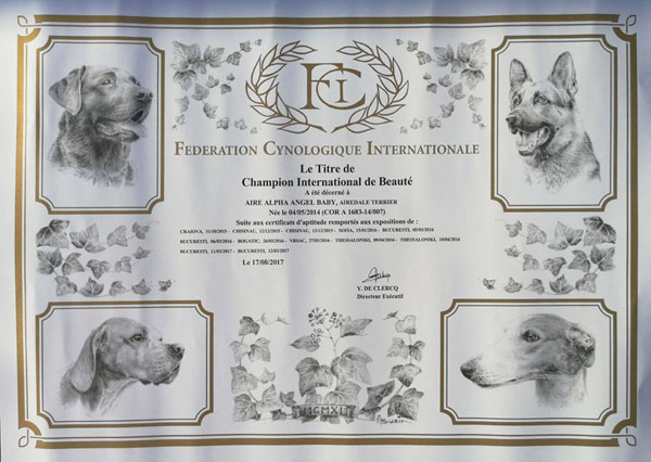 airedale-terrier